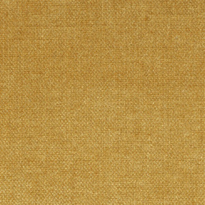 Velvety Mustard  + 50.00€ 